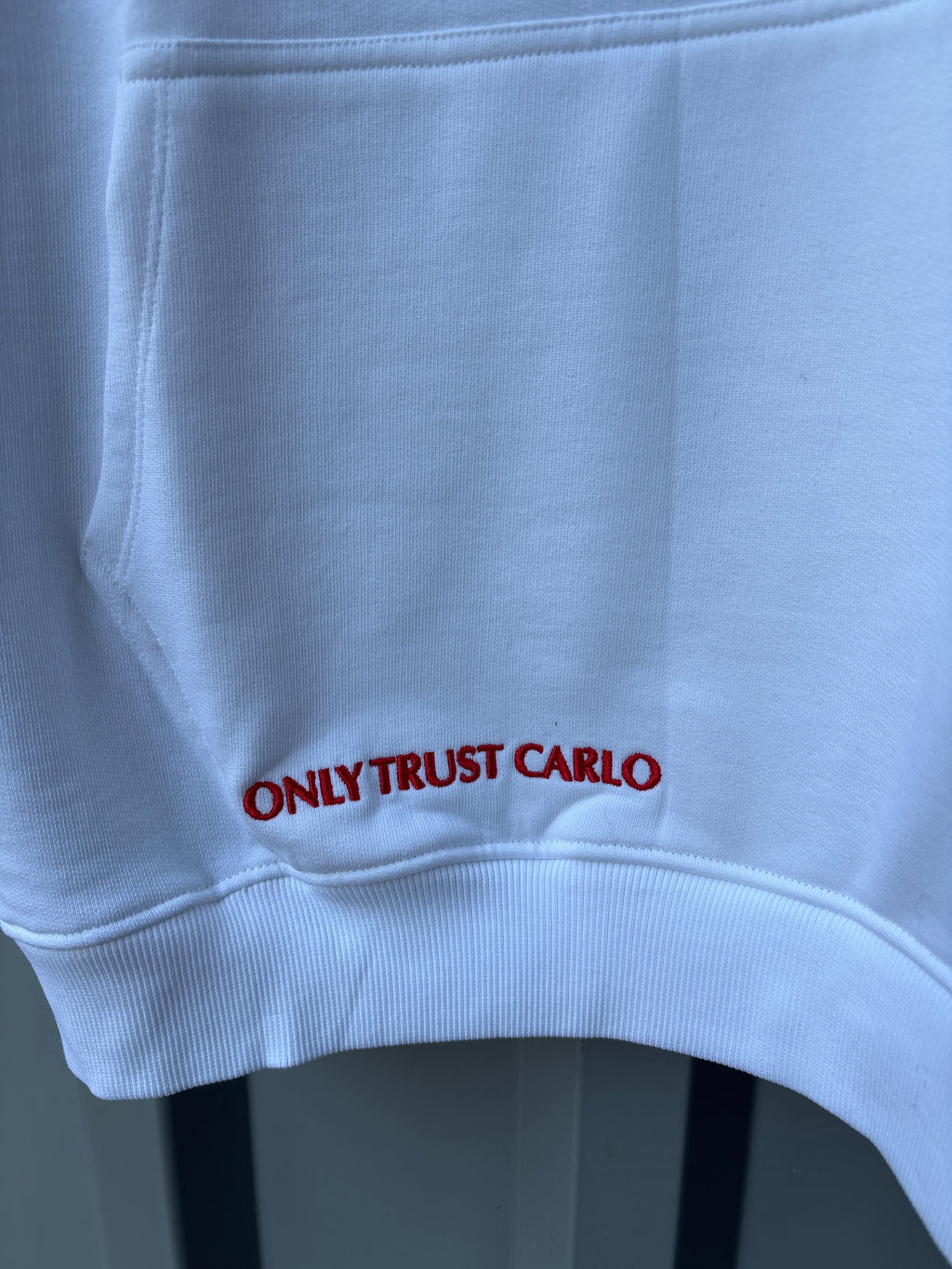 Carlo Colucci Hoodie - Fake News
